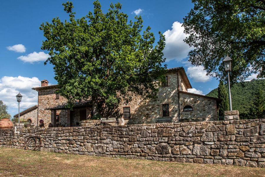 Il Colombaio Agriturismo Montegabbione 外观 照片