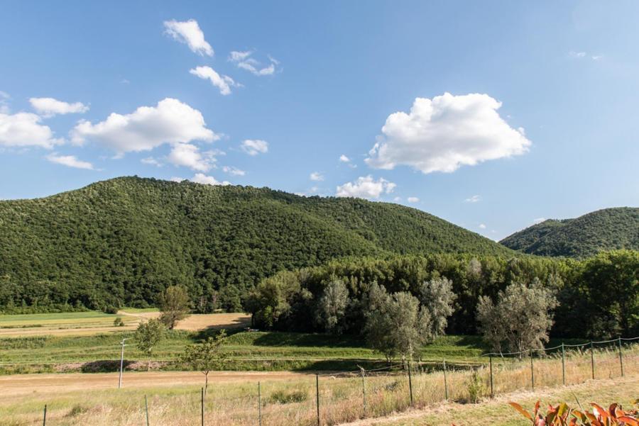 Il Colombaio Agriturismo Montegabbione 外观 照片
