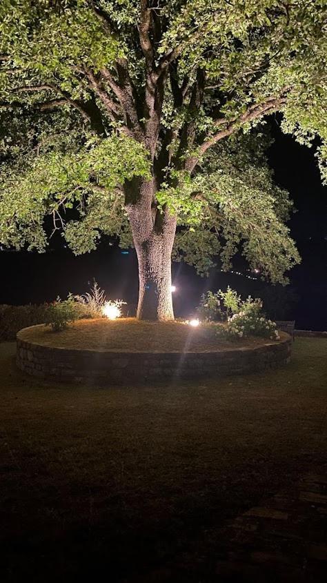 Il Colombaio Agriturismo Montegabbione 外观 照片
